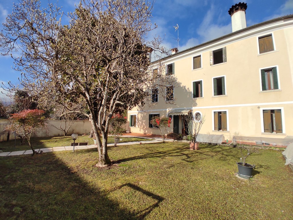Schiera di testa in vendita a Cavaso del Tomba