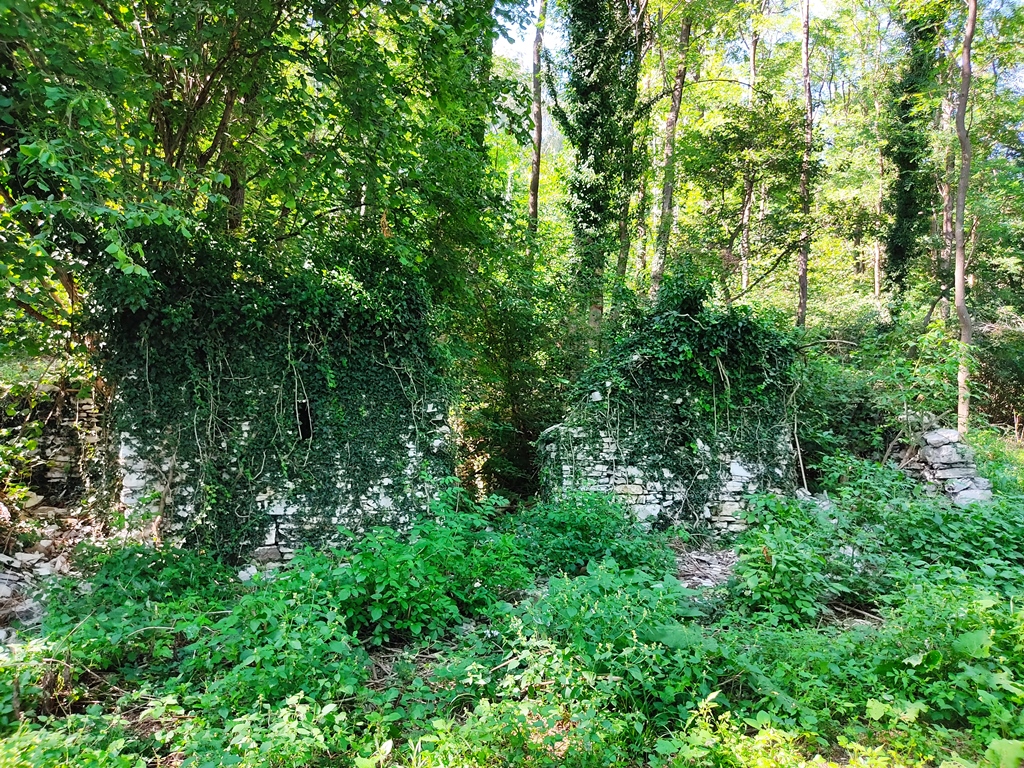 Terreno agricolo in vendita a Pederobba