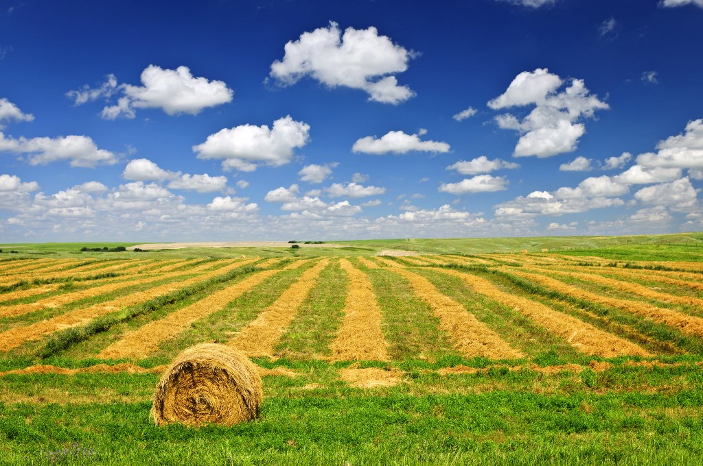 Terreno agricolo in vendita a Crocetta del Montello