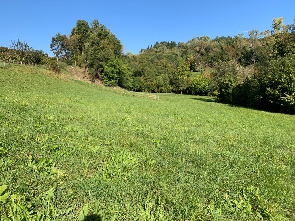 Terreno  in vendita a Monfumo