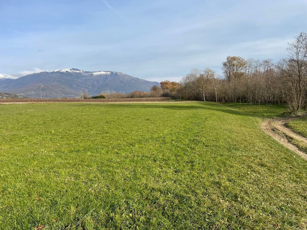 Terreno agricolo in vendita a Pederobba