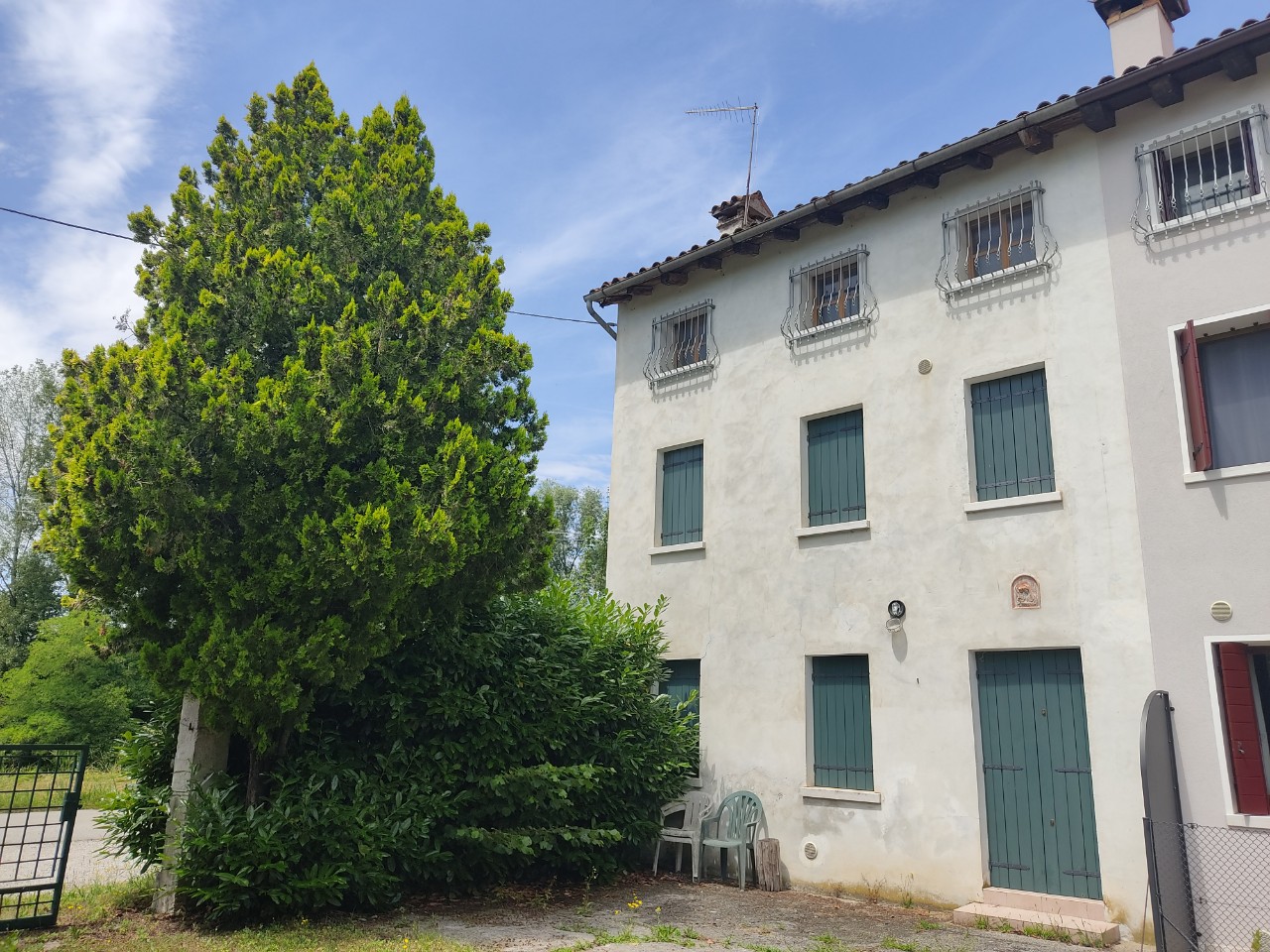 Schiera di testa in vendita a Pederobba
