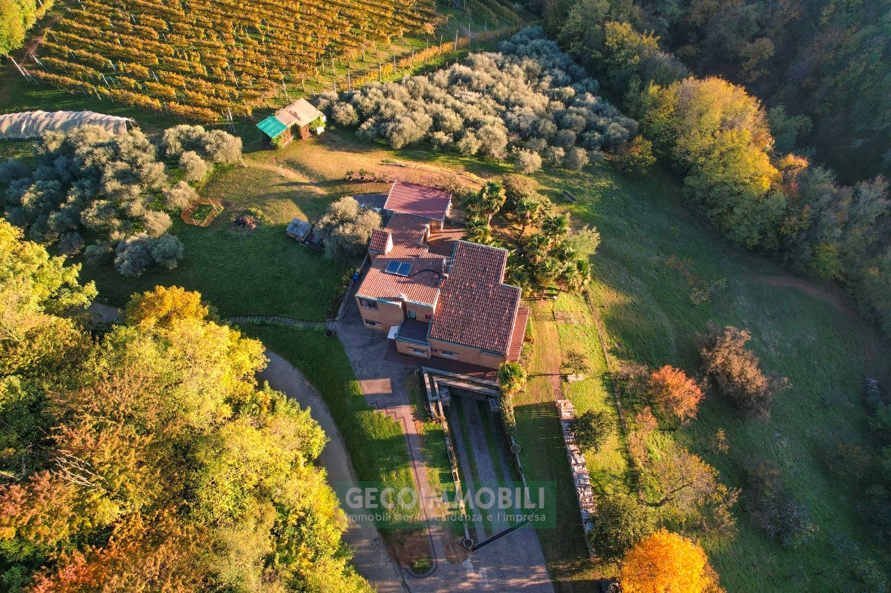 DJI_0557
