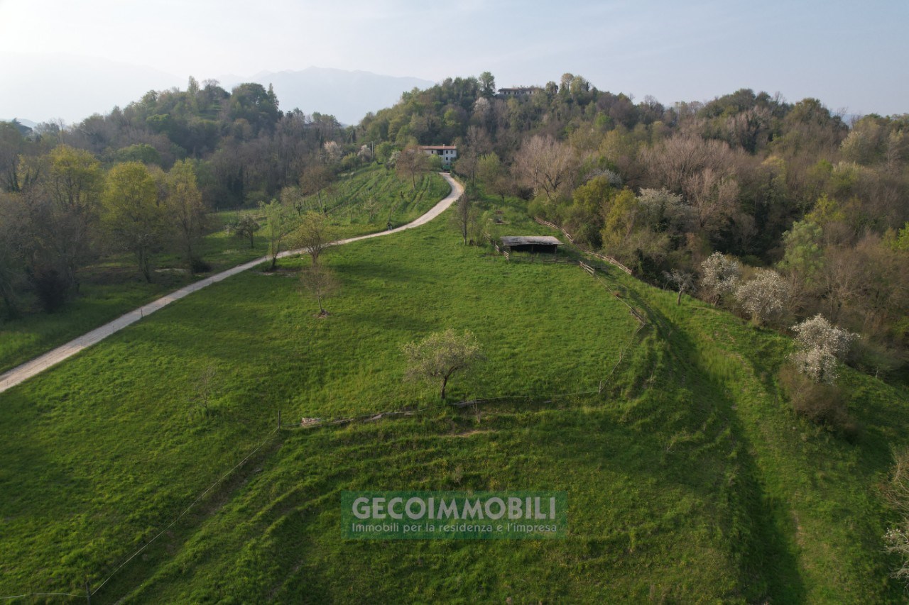 DJI_0848