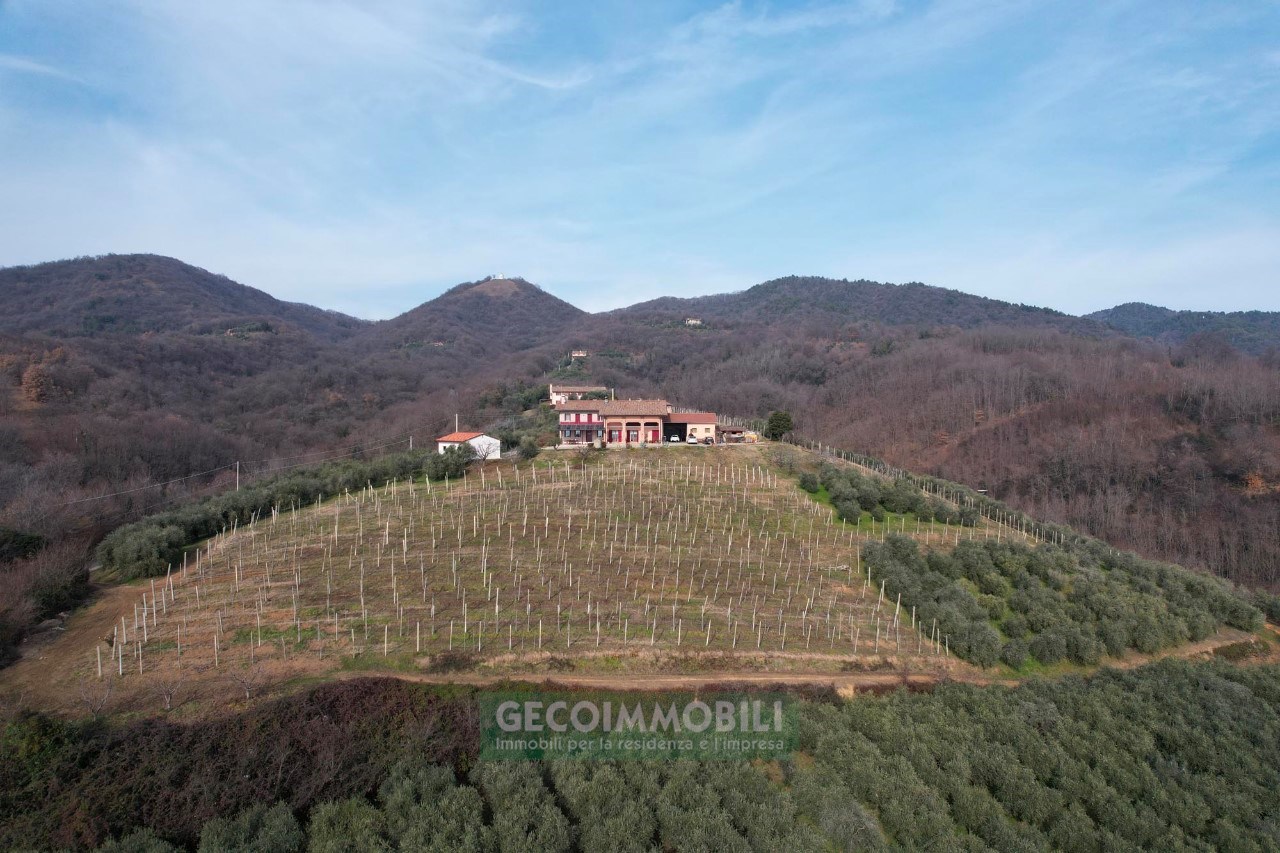 DJI_0841