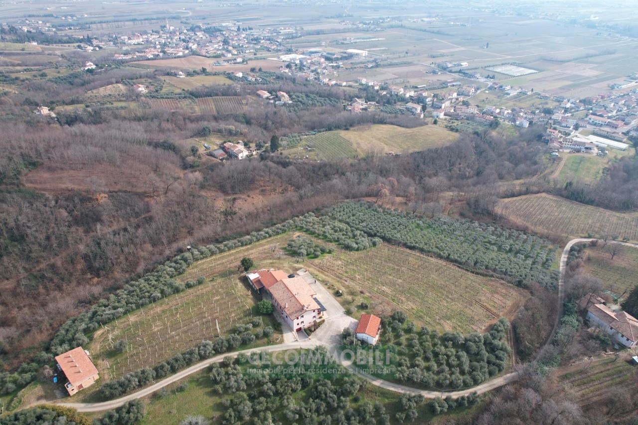 DJI_0856