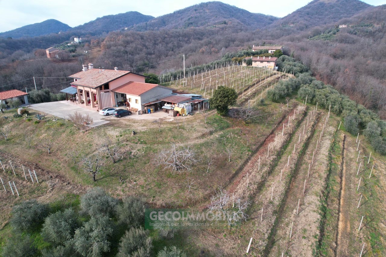 DJI_0859
