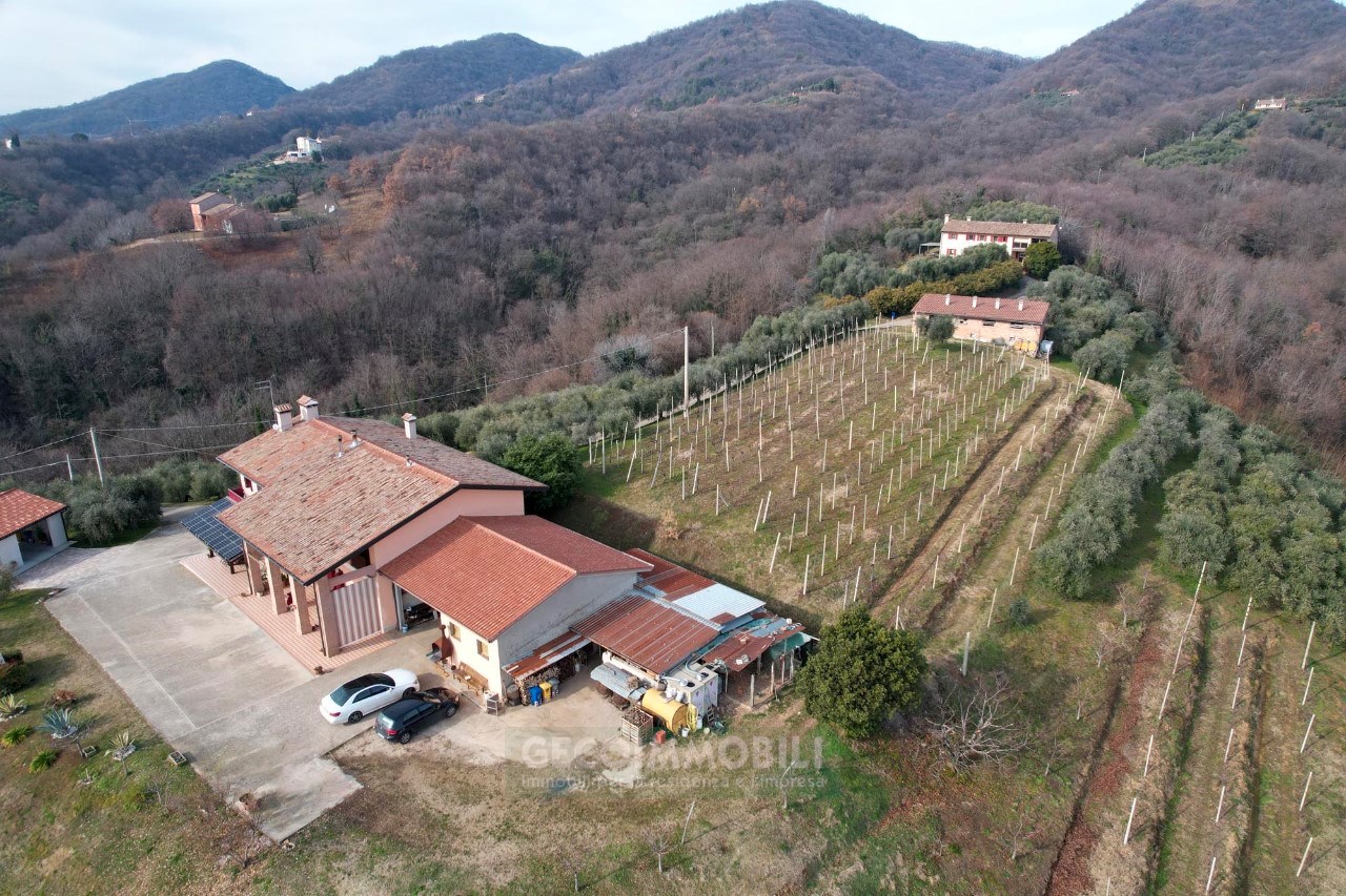 DJI_0861