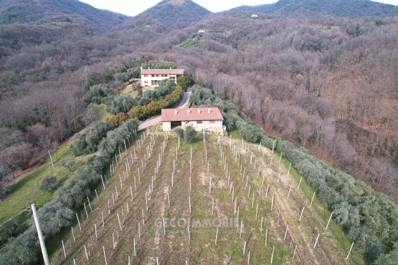 DJI_0862