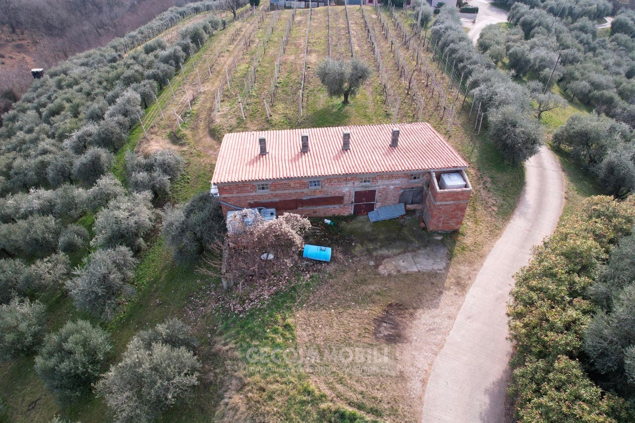 DJI_0864