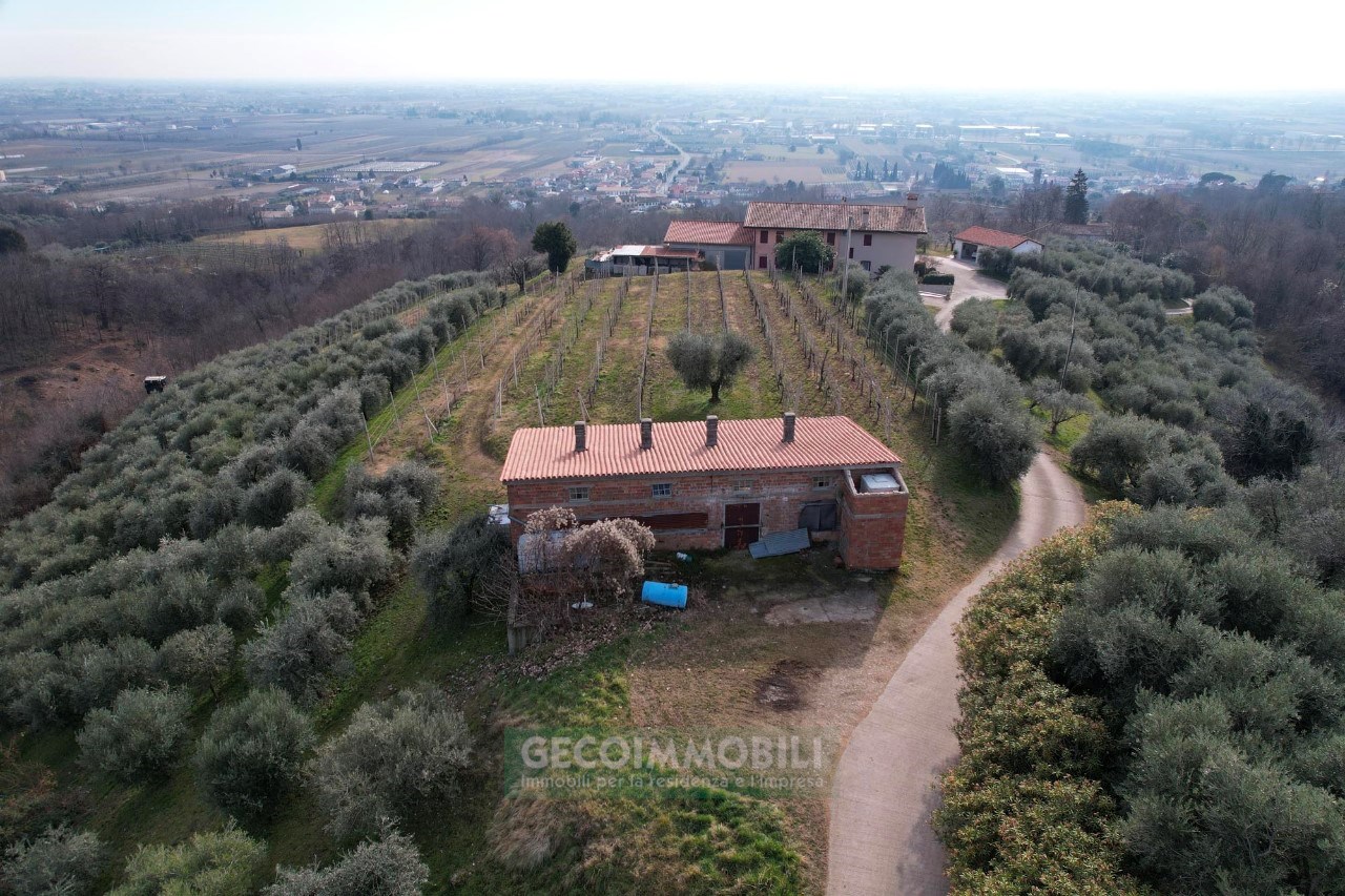 DJI_0865