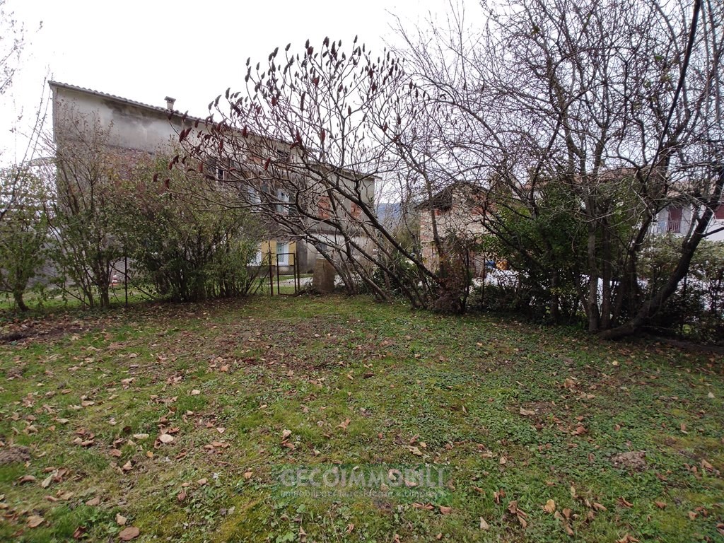 IMG_20241121_145320